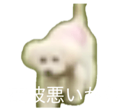 860784945
