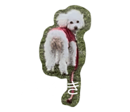 860784960
