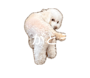 860784965