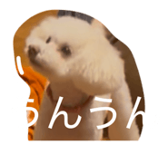860784966