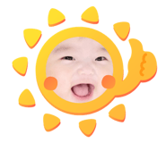 860786293