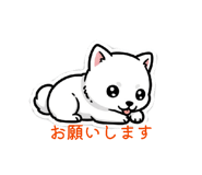 860787053