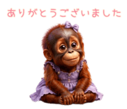 860787074