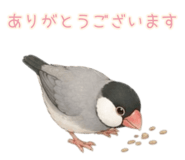 860788248
