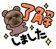 860790932