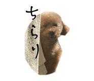 860793750