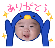 860794374