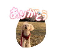 860794993