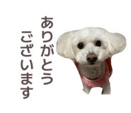 860794995