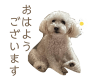 860794998