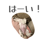 860795007
