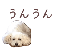 860795018