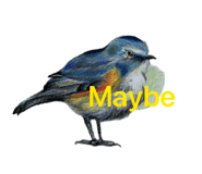 860796059