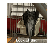 860796260
