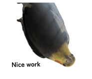 860796276