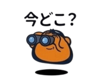 860796847