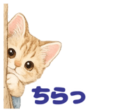 860797614