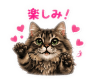 860798399