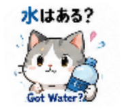 860799781