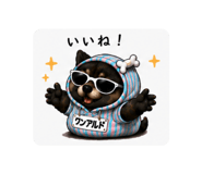 860800650