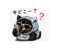 860800656