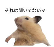 860800657