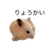 860800659