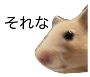 860800660