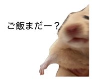 860800661