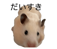860800662
