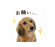 860800790