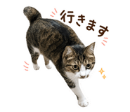 860801266