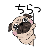 860801284