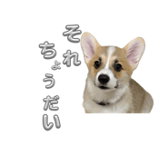 860801402