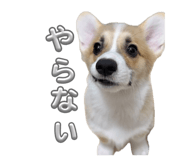 860801404
