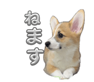 860801405