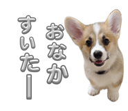 860801406