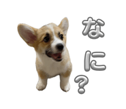 860801408