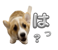 860801409