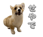 860801410