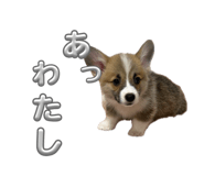 860801412