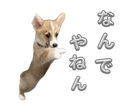 860801414