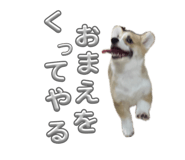 860801415
