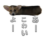 860801416