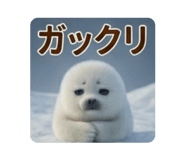 860801627