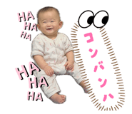 860804691