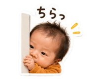 860805215
