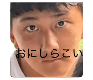 860805254
