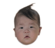 860805540