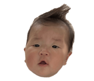 860805548